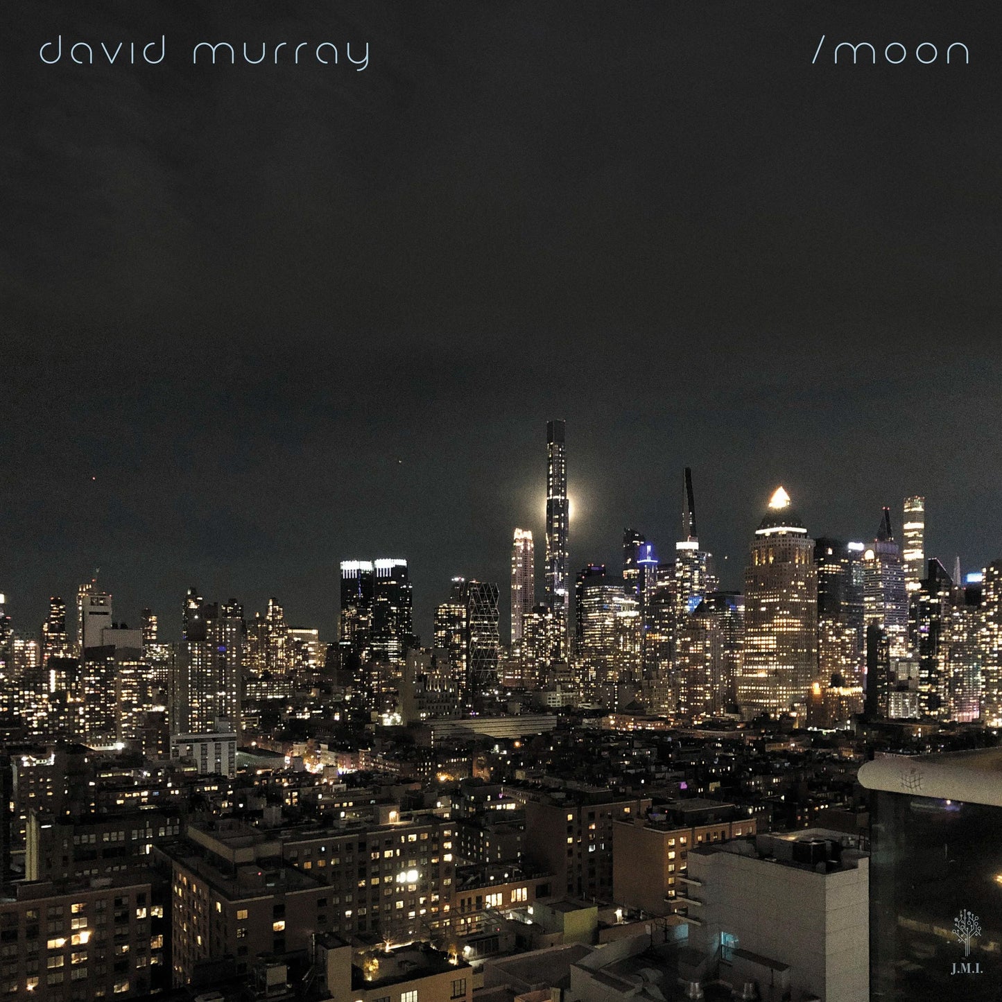 David Murray - Sun/Moon (Double 12" vinyl LP 45 RPM)