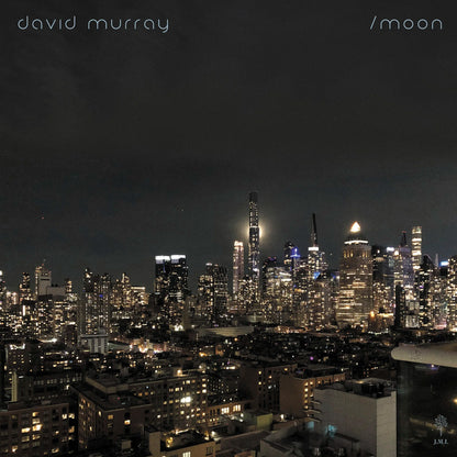 David Murray - Sun/Moon (Double 12" vinyl LP 45 RPM)
