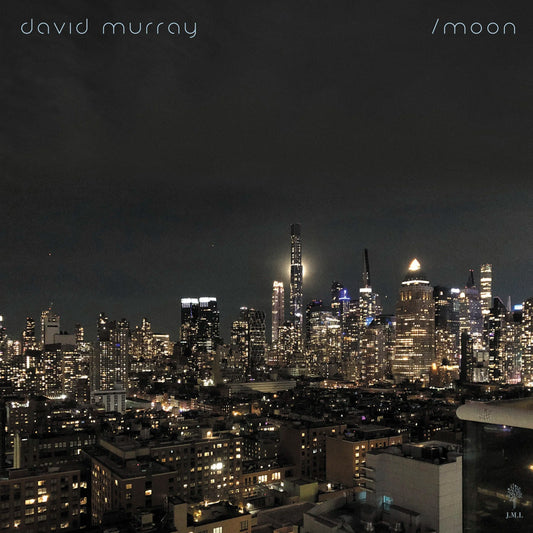 David Murray - Sun/Moon (Double 12" vinyl LP 45 RPM)