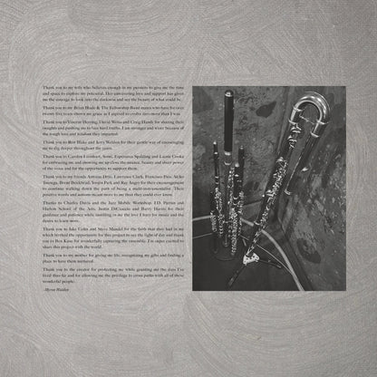 Myron Walden - Flutes & Strings (12" Vinyl LP)